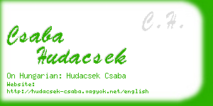 csaba hudacsek business card